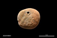 藏品(穿孔器)的圖片